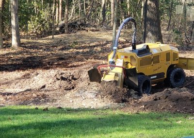 Storm Damage Removal Laurel MD