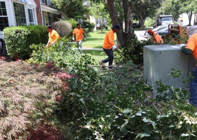 Storm Damage Services Laurel MD